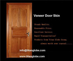 Veneer door 