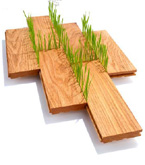 Timber and Wood Products