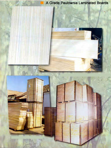 hn1a.jpg (26257 bytes)