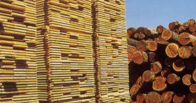China wood import market