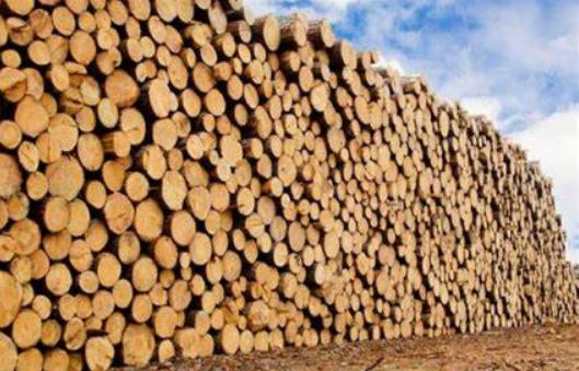 China wood import market